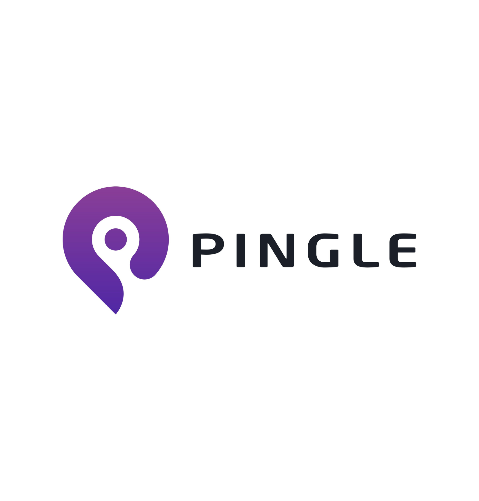 Pingle Infotech